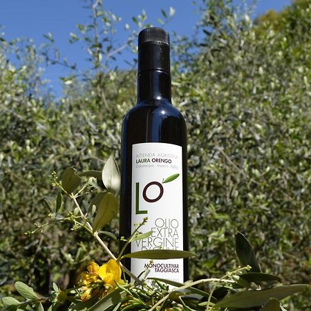 Agriturismo Dalla Mimmi Dolceacqua Bagian luar foto
