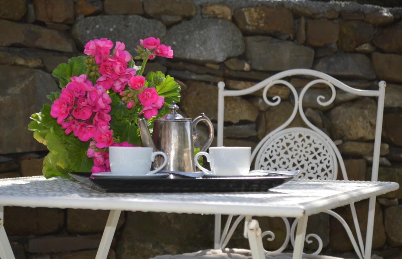 Agriturismo Dalla Mimmi Dolceacqua Bagian luar foto
